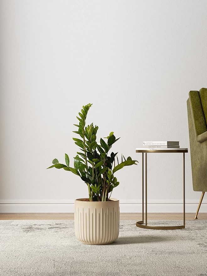 LE TAUCI Ceramic Planters, 8.3+6.9+5.7 Inch Plant Pots for Indoor Plants, Set of 3 Flower Pots with Drainage Holes, Round Planters Pot for Indoor House Plants, Reactive Glaze Cloud Cream