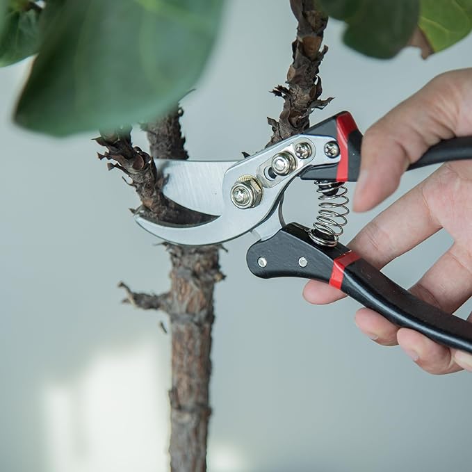 Phoenix Vine 8" Pruning Scissor for Indoor Houseplants, Pruners with Heavy Duty SK5 Blade, Hand Pruners, Garden Clippers, Hedge Shears, Garden Tools, 97-V