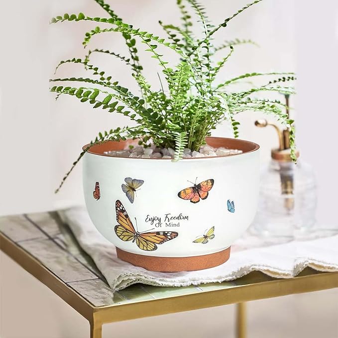 YBX 8 Inch & 6 Inch Terracotta Pots, Plant Pots Indoor, Flower Pots for Indoor Plants with Drainage, Planters with Butterfly Accent for Indoor Plants (Tropical)