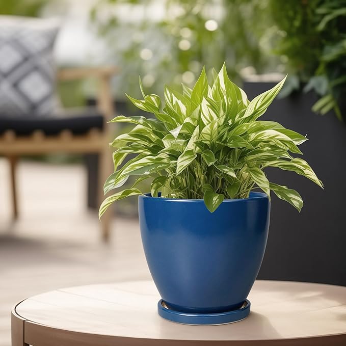 6 Inch Plant Pot - Ceramic Planter with Drainage Hole and Saucer, Modern Round Flower Pot, Planters for Indoor Plants, Home Garden Decor, Blue