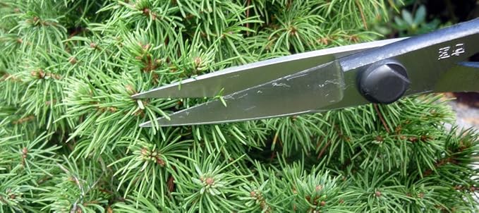 Okatsune 207 Pine Needles Shears with BP