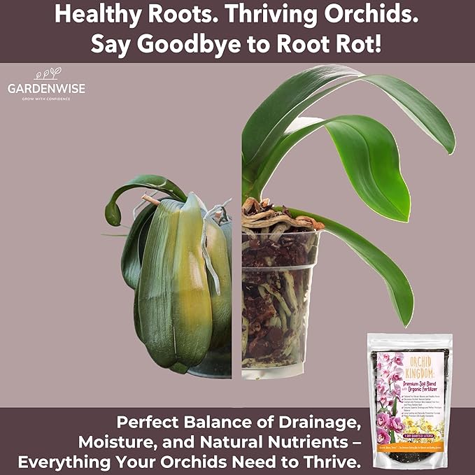 Orchid Potting Mix – Orchid Bark, Sphagnum Moss, Tree Fern & Perlite for Repotting Phalaenopsis Orchids, Indoor Plants, Orchid Soil Medium – Sustrato para Orquídeas (2 Quart)