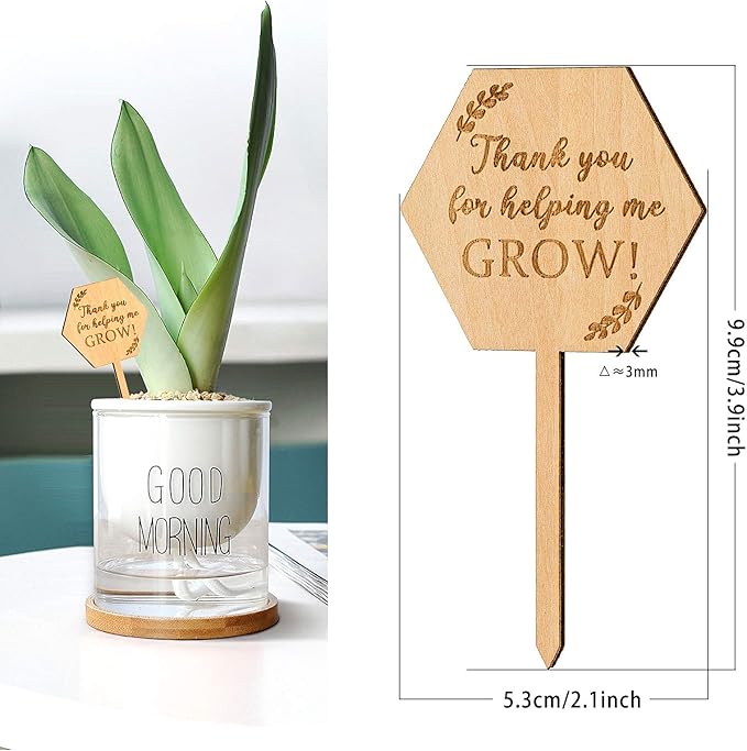 Thank You for Helping Me Grow Succulent Tags Teacher Appreciation Gifts, PARBEE 20PCS Hexagon Plant Stakes Labels Gift for Mother's Day Christmas Thanksgiving Baby Shower