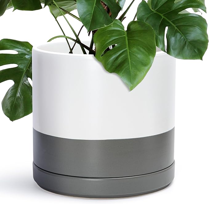D'vine Dev 14 Inch Ceramic Planter Pot with Drainage Hole and Saucer, Indoor Cylinder Round Planter Pot, White/Speckled Grey, 94-O-G-6