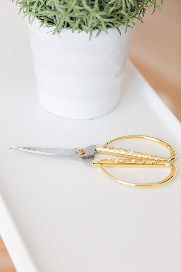 Premium Houseplant Scissors and Pruning Shears by Houseplant Resource Center | Ergonomic, Sharp & Durable Garden Clippers for Plant Care - 100% Stainless Steel Construction