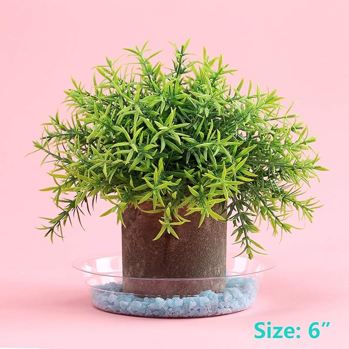 21 Pack Clear Plastic Plant Saucer Drip Trays (6 inch /8 inch /10 inch) Plant Plate Dish for Indoor Flower Pots and Planters, Bulk