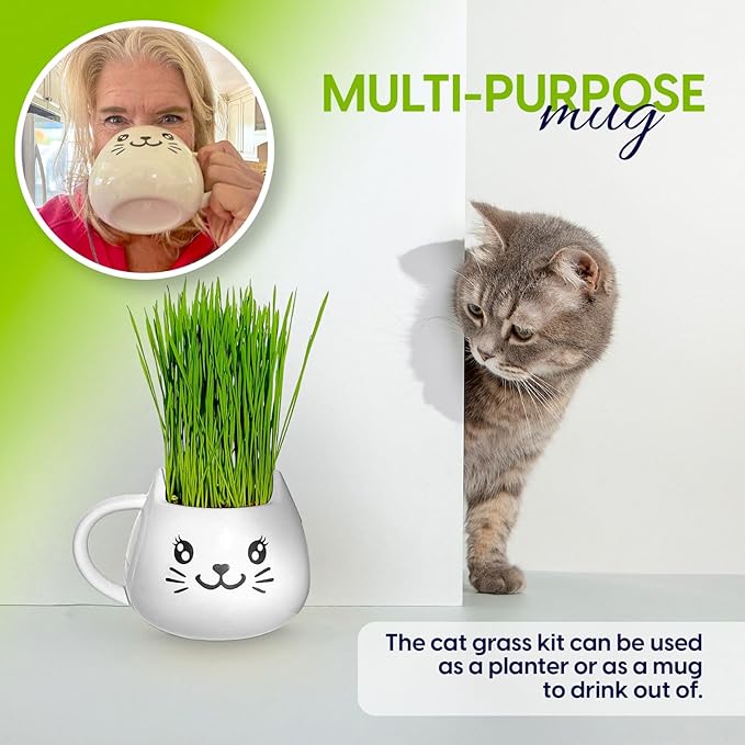 Organic Cat Grass Growing Kit - Promotes Natural Hairball Control and Digestive Wellness - Includes Organic Seed Mix, Nutrient-Rich Soil, and Stylish White Cat Planter