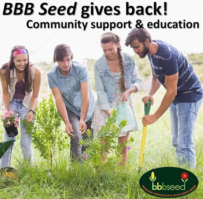 Drought Tolerant Wildflower Seeds - 4oz, Open-Pollinated Bulk Flower Seed Mix for Beautiful Perennial, Annual Garden Flowers - No Fillers - 4 oz Packet