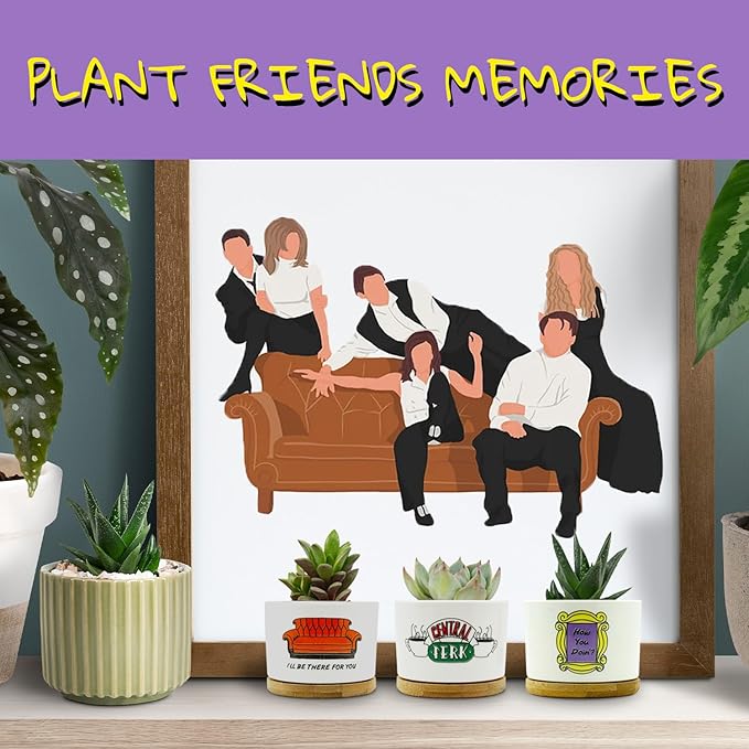 Friends TV Show Merchandise Gifts, 3 Pack Ceramic Succulent Pots, Vintage Style Patterns, 3.15 inch Succulent Planter Pots with Drainage Hole and Bamboo Saucer for Home Decor