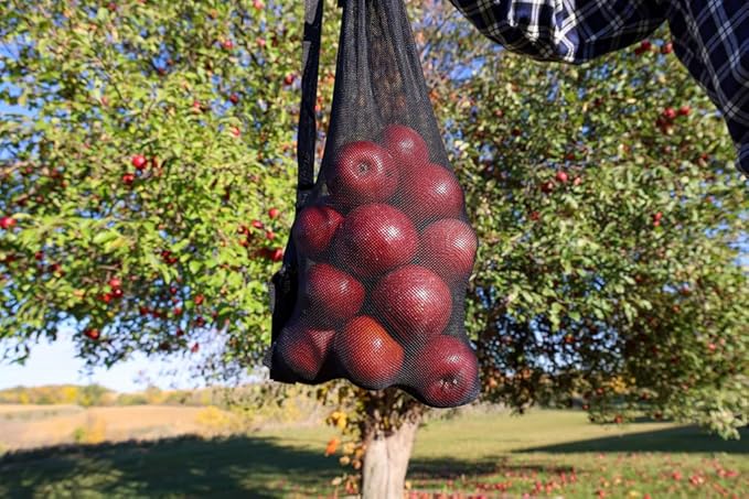 21ft Reaching Fruit Picker with Lightweight Rigid Pole – Patented Compact Foldable Design with Twist on Head – 2 in 1 Combo Pack – MESH Carrying Bag Included
