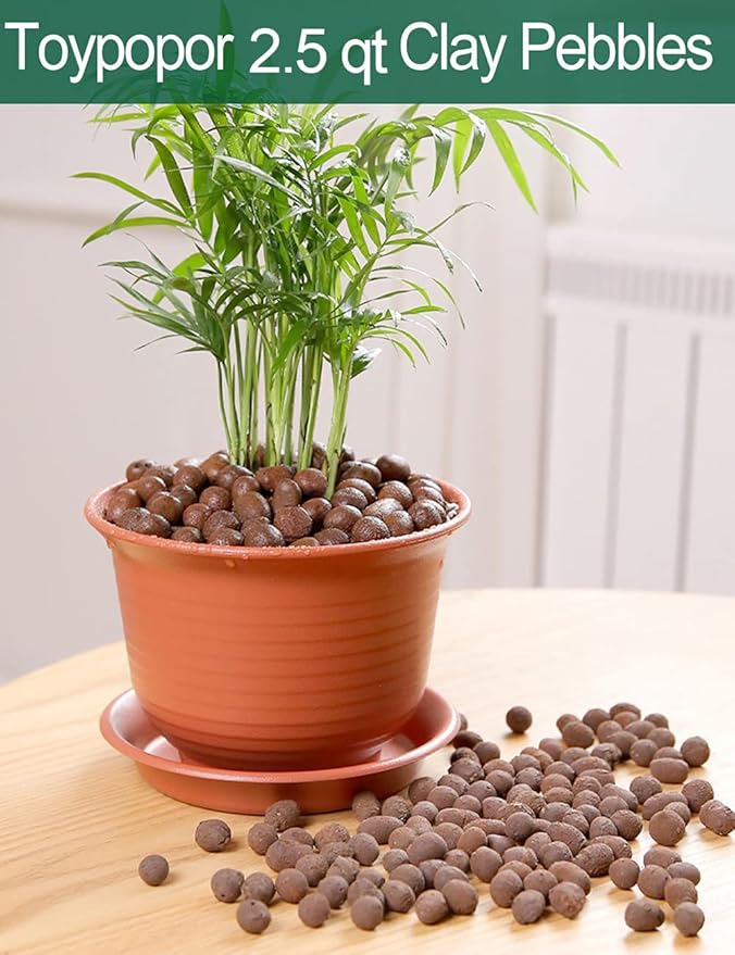 Expanded Hydroponic Clay Pebbles 2.5qt, 8mm-12mm, Natural Organic Flower Orchid Plant Grow Media, Porous Stones for Hydroponics, Drainage, Decoration, Aquaponics and Other Gardening Essentials