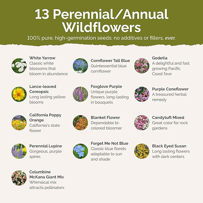 Eden Brothers Alaska Wildflower Mixed Seeds for Planting, 1/4 lb, 120,000+ Seeds with Yarrow, Foxglove, Cornflower | Attracts Pollinators, Plant in Spring or Fall, Zones