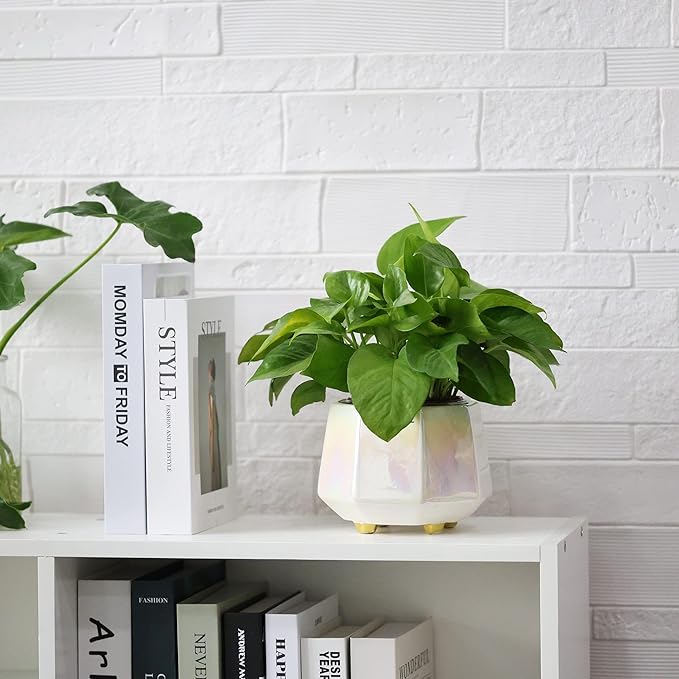 6 Inch Ceramic Planter for Indoor Plants - Plant Pots with Drainage Hole - Modern Minimalist Flower Pot for Succulents and Herbs