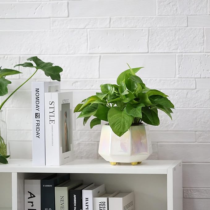 6 Inch + 4 Inch Ceramic Planter for Indoor Plants - Plant Pots with Drainage Hole - Modern Minimalist Flower Pot for Succulents and Herbs