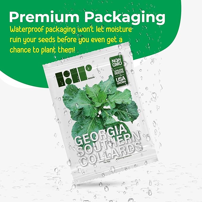 1000+ Georgia Southern Collard Greens Seeds for Planting - Heirloom, Non-GMO, USA Grown
