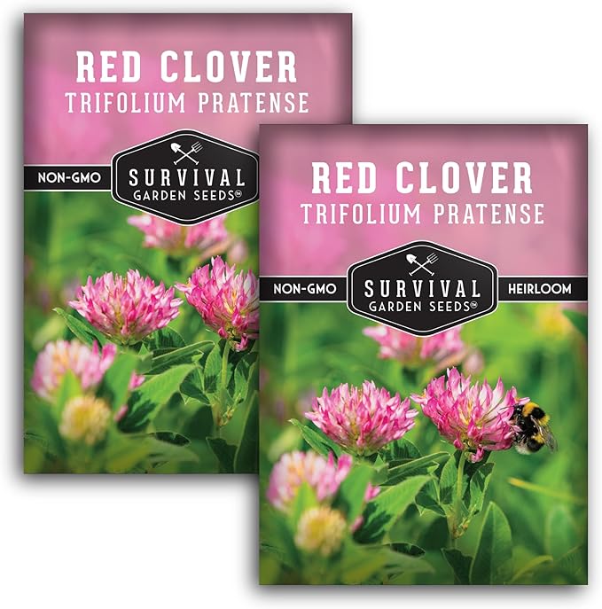 Survival Garden Seeds - Red Clover Seed for Planting - 2 Packets with Instructions to Plant & Grow a Medicinal Herb & Nitrogen Fixing Ground Cover in Your Home Garden - Non-GMO Heirloom Variety