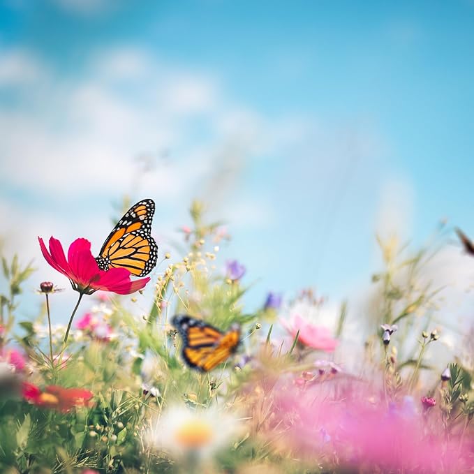 Bee and Butterfly Wildflower Seed Mix, Covers 325 Sq Ft, 16 Flower Varieties, Over 30,000 Seeds - Created By Nature
