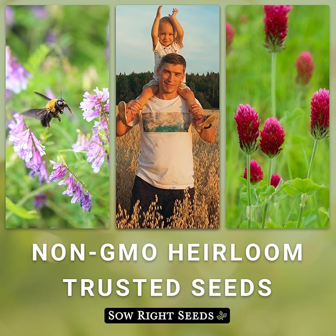 Sow Right Seeds - White Dutch Clover Seed for Planting - Cover Crops to Plant in Your Home Garden - Nitrogen Fixer - Suppress Weeds - Attracts Pollinators - Non-GMO Heirloom Seeds - Gardening Gift (2)
