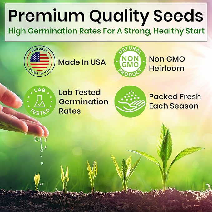 5 Herb Seeds Variety Kit, Oregano, Cilantro, Parsley, Basil, Chives