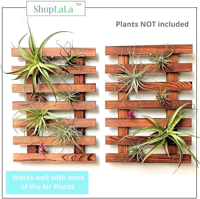 ShopLaLa Wall Planter - 2 Pack Wooden Orchid Planter Frame Display Outdoor Plants, Wall Mount Air Plants Succulent Holder Hanger, Vertical Garden Plant Wall Decor Macetas para Orquideas 15.7" (40cm)