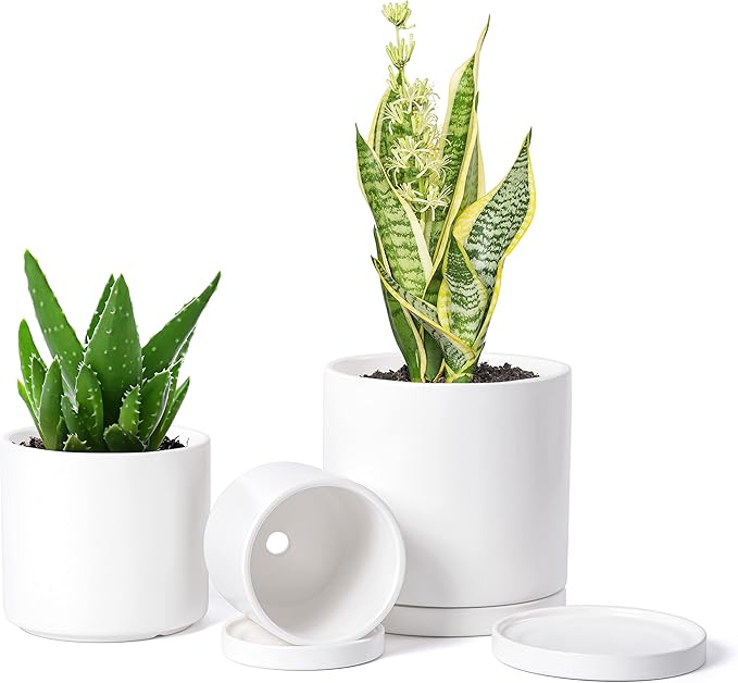 D'vine Dev White Terracotta Pots for Plants, 4.2 Inch 5.3 Inch 6.5 Inch, Succulent Planter Pot with Drainage and Saucer, 40-T-A-1