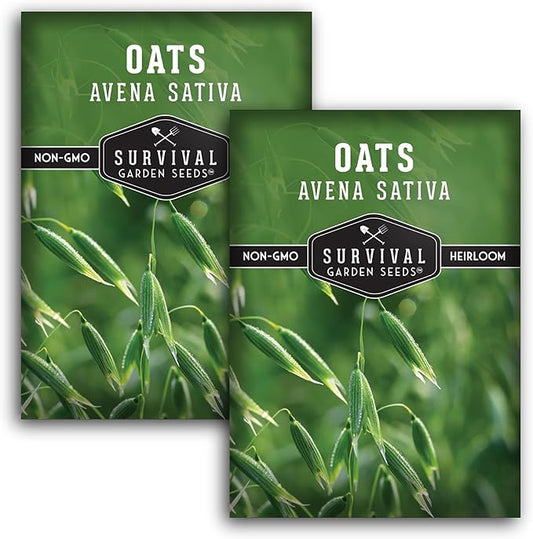 Survival Garden Seeds - Oat Seed for Planting - 2 Packs with Instructions to Plant & Grow Avena Sativa in Your Home Vegetable or Herb Garden - Medicinal Herb & Cover Crop - Non-GMO Heirloom Variety