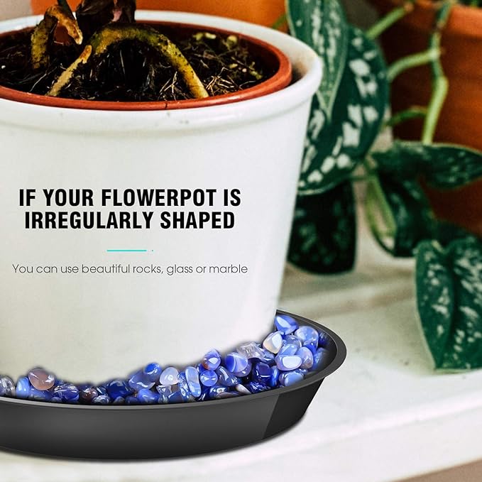 6 Pack Plant Saucer 4 6 8 10 12 14 16 18 20 22 Inch Plastic Plant Tray, Sturdy and Durable Flower Pot Container Accessories Plant Pot Saucers for Indoor and Outdoor (6 Inch, Black)