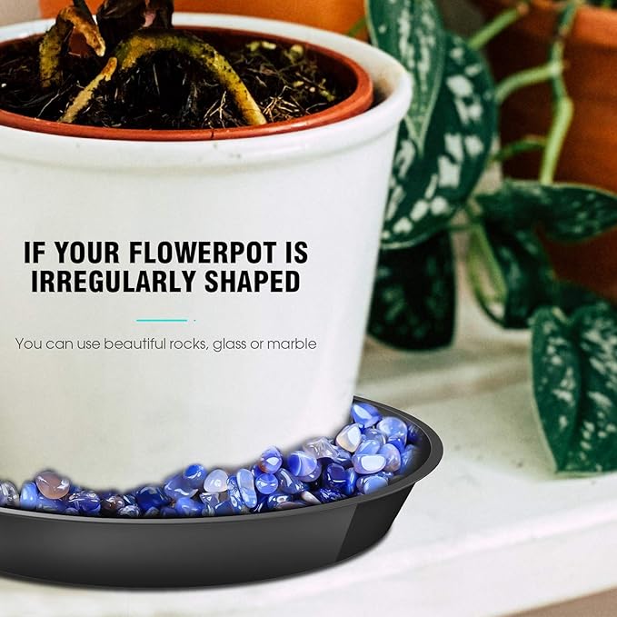 6 Pack Plant Saucer 4 6 8 10 12 14 16 18 20 22 Inch Plastic Plant Tray, Sturdy and Durable Flower Pot Container Accessories Plant Pot Saucers for Indoor and Outdoor (14 Inch, Black)