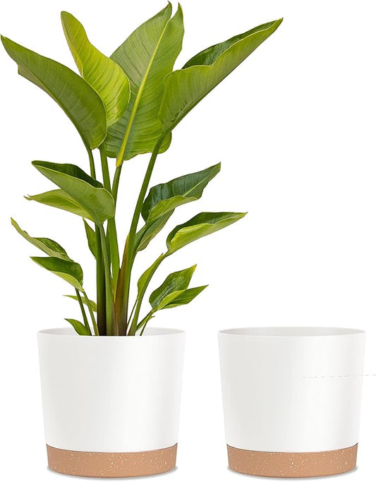 kubvici Plant Pots for Indoor Plants, 2 Pack 12 Inch Pots for Plants, Lightweight Large White Planters for Indoor Plants Outdoor Plants, Big Plastic Plant Pot Flower Pot with Drainage (12” White)