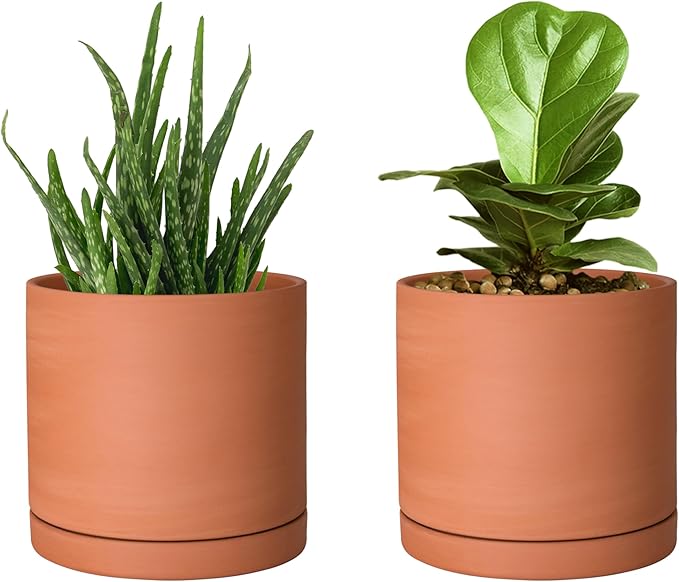 D'vine Dev Small 5 Inch Terracotta Plant Pot with Drainage Hole and Saucer, Round Cylinder Planter Pot for Indoor Plants, Set of 2, 40-X-B-2