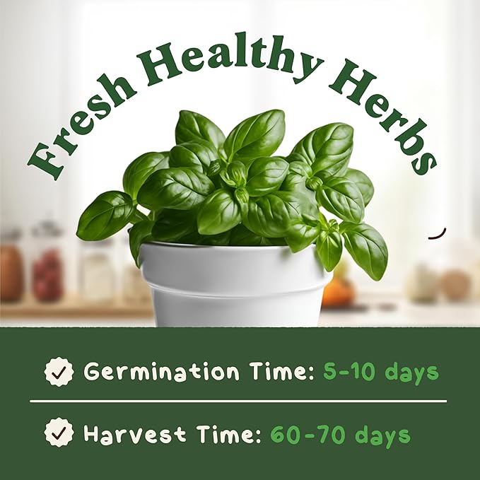 Organic Basil Herb Seeds for Indoor Gardening or Planting Outdoors, Non-GMO and USDA Certified Herb Seed Packets, 250 Seeds/1 gram (Genovese Basil)
