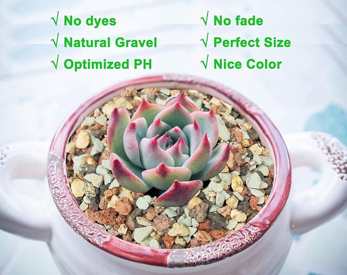 5lb Bonsai Succulent and Cactus Soil Gritty Mix Rocks Gravel for Terrarium Top Dressing Decorative Pebbles Potting Soil Amendment for Pots Indoor Plants, Fast Drainage, Neutralize Soil PH