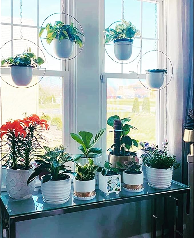 2 Pack Hanging Planters for Indoor Plants with 5.5" Pot + Ceiling Hook + Extender Chain | Hanging Plant Holder, Metal Minimalist Planter, NO Plant incld