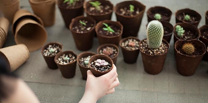 Daniel's Plants 4" Naked Pots | Large Natural Plantable Seed Starter Pots | OMRI-Listed Biodegradable Pots for Seedlings | Enhanced Aeration | Earth Freindly - Peat Free | 10 Pack 4 Inch Round