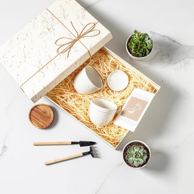 Sureasy Succulent Pots, 3.5 Inch Flower Pots for Indoor Plants, Small Plant Pots with Saucer & Drainage, Decorative Ceramic Planters for Succulent, Cactus, Set of 4, White