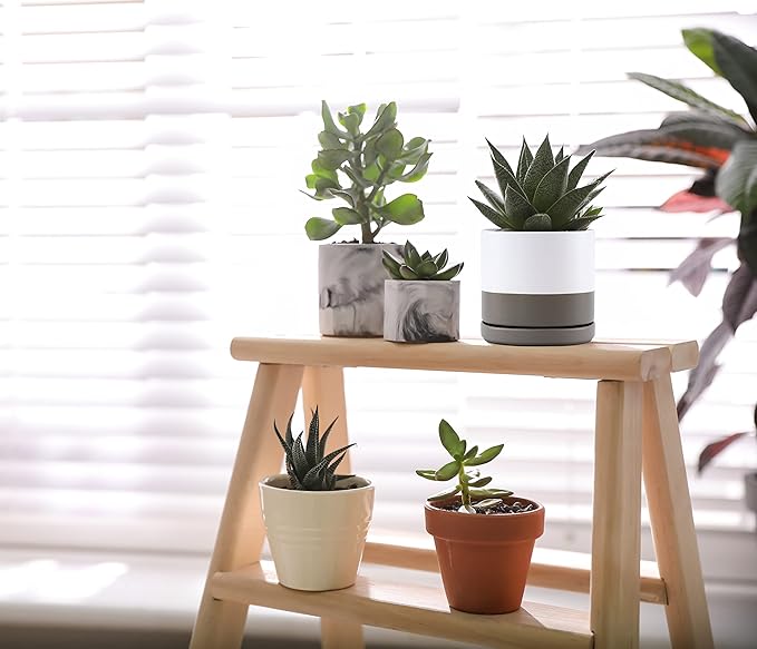 D'vine Dev Set of 2 Plants Pots, 4.6 Inch Ceramic Planter Pot for Plants with Drainage Hole and Saucer, White/Speckled Grey, 94-V-B-6