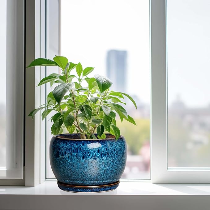 SQOWL 10 Inch Plant Pot - Ceramic Planter Pot with Drainage Hole and Saucer, Decorative Plant Pot for Indoor Outdoor Plants, Round Large Planter Flower Pot, Blue