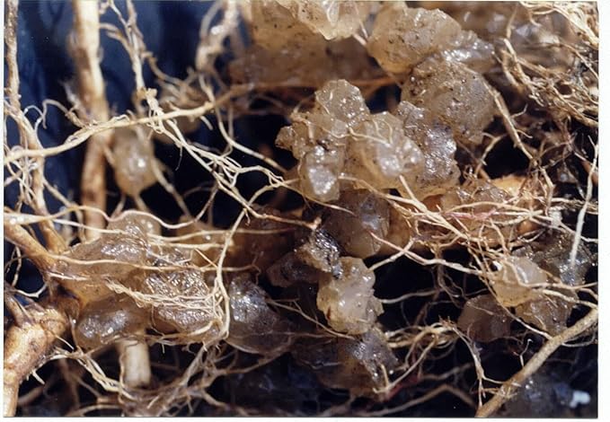 100064312 JCD-030SM 3-Pound Granules, White