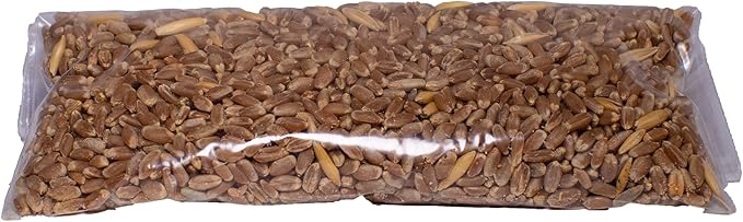 Cat Grass for Indoor Cats Kit – Limited Edition with Decorative Planter, Cat Trellis & Organic Seeds, Free Cat Toy & Catnip Spray for Ultimate Kitty Joy (AW)