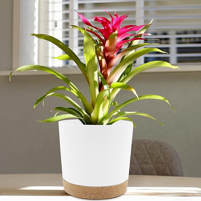 QCQHDU 6.5 inch Plant Pot, 2 Pack Planters for Indoor Plants with Drainage Holes & Saucer, Outdoor Flower Pots Home Garden Modern Decor