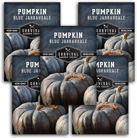 Blue Jarrahdale Pumpkin Seeds for Planting - 5 Packets with Instructions to Plant & Grow Decorative and Flavorful Blue Pumpkins in Your Home Garden - Non-GMO Heirloom Variety - Survival Garden Seeds