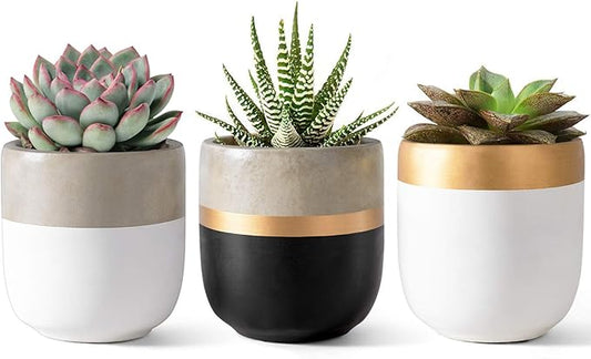 Dahey 3 Pack Small Cement Succulent Planter Pots 4 Inch Modern Mini Concrete Flower Pots Indoor Outdoor for Cactus Herb or Small Plants Home Decor