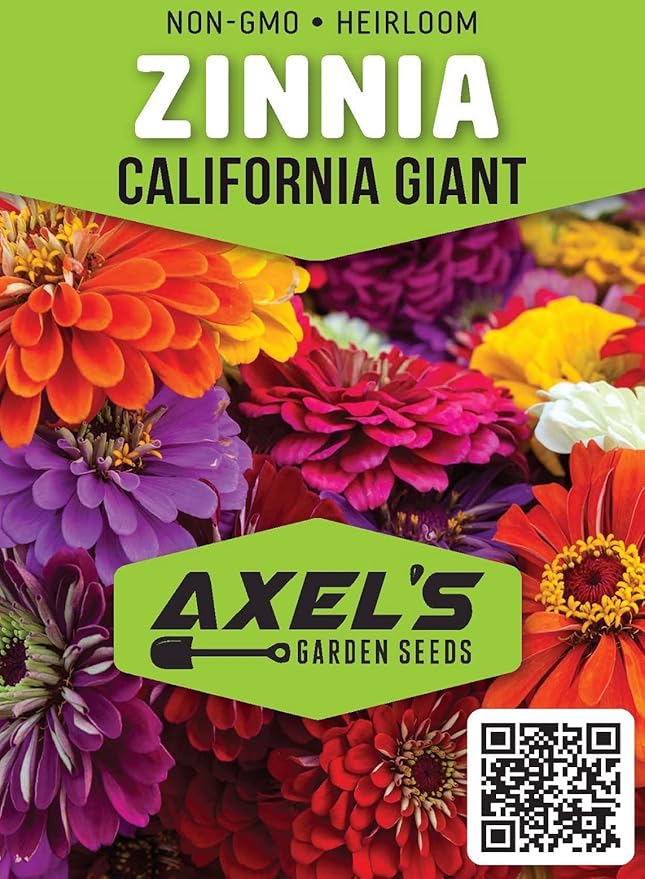 Zinnia Seeds for Planting – Non-GMO Heirloom Zinnia Flower Seeds – Full Instruction Packets to Plant in Your Home Outdoor Garden – Gardening Gift – 50 California Giant Zinnia Seeds (5 Packets)