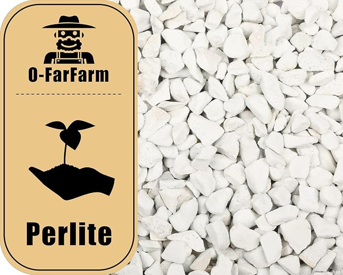Chunky Perlite Bulk, Horticultural Pearlite Coarse Perlite for Plants Indoor, Additive Conditioner Mix, Improve Drainage and Ventilation, Help Root Growth(5-10mm, 1qt)