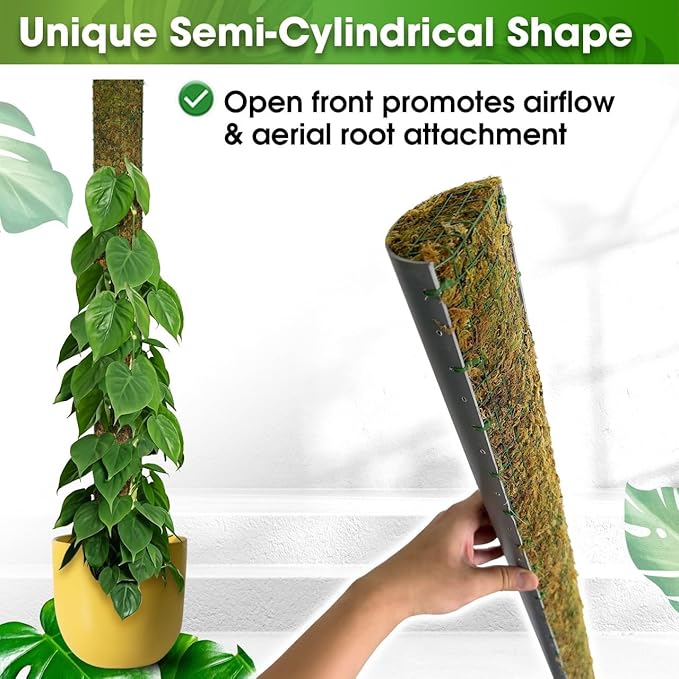 DUSPRO 59’’ D-Shape Moss Pole for Climbing Plants Monstera Moss Plant Pole Handmade Moss Stick for Indoor Plants Grow Upward (59'', 1pc.)
