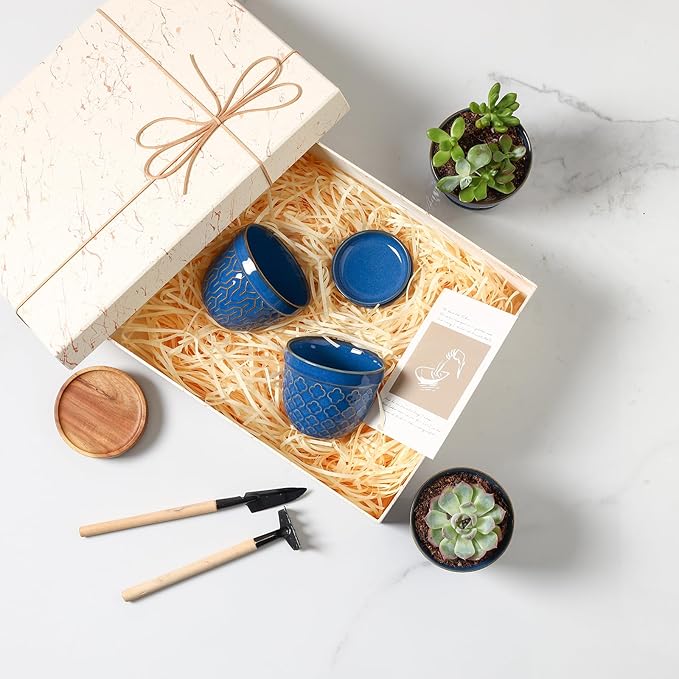 Sureasy Succulent Pots, 3.5 Inch Flower Pots for Indoor Plants, Small Plant Pots with Saucer & Drainage, Decorative Ceramic Planters for Succulent, Cactus, Set of 4, Blue