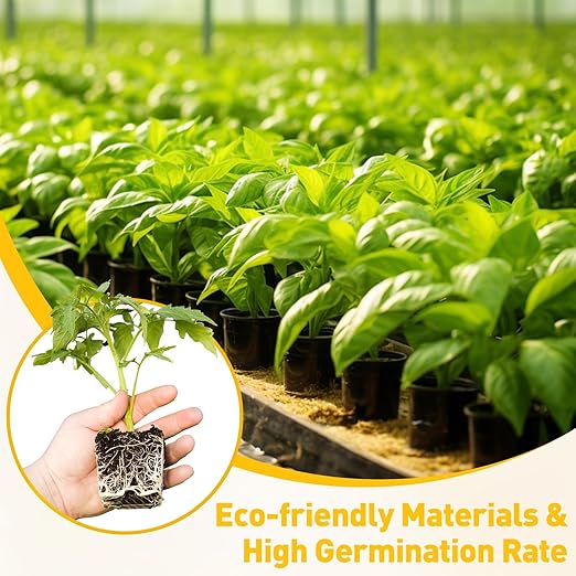 60 Pcs Square Seed Starter Plugs Hydroponic Sponges Grow Pods, Replacement Root Growth Cubes for Seeds or Cuttings Suitable for Growing System and Soil, Generally Planting Pods for Seedling Vegetable