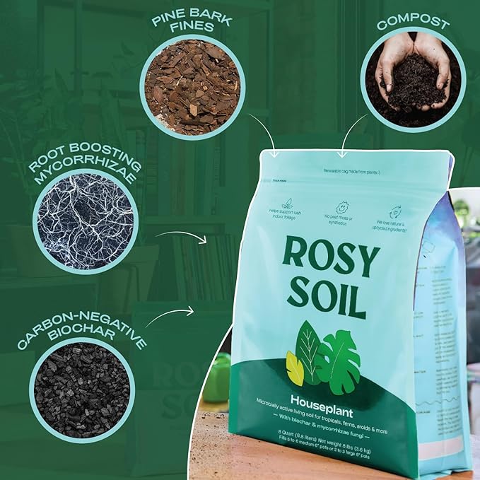 Indoor Potting Soil for House Plants - Organic Potting Soil Mix for Indoor Plants - Enriched w/Root-Boosting Biochar for Foliage Plants, Flowers, Herbs - Peat Free, Less Prone to Gnats - 8qt