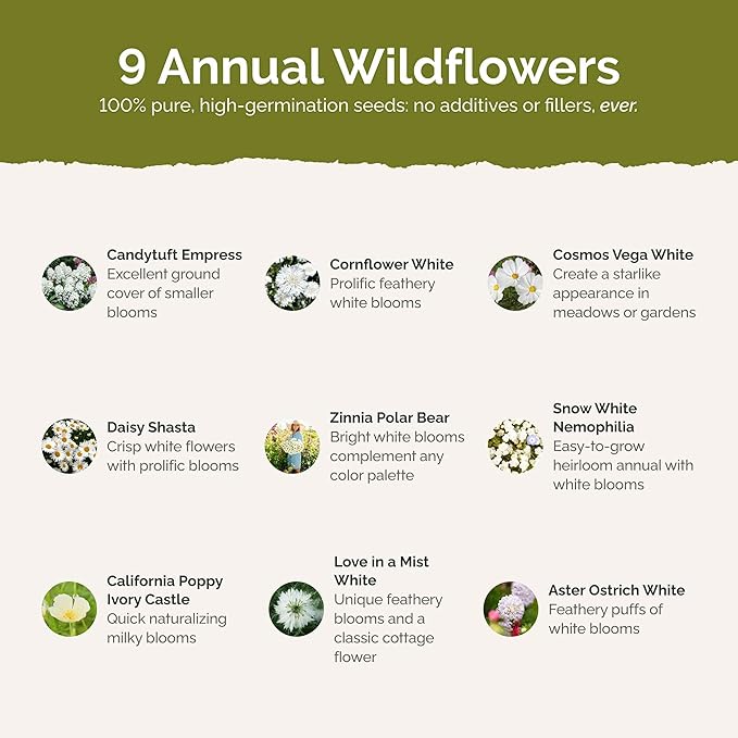 Eden Brothers Cloud 9 Flower Mixed Seeds for Planting, 5 lb, 2,400,000+ Seeds with White Candytuft, Cosmos Purity | Attracts Pollinators, Plant in Spring or Fall, Zones 3, 4, 5, 6, 7, 8, 9, 10