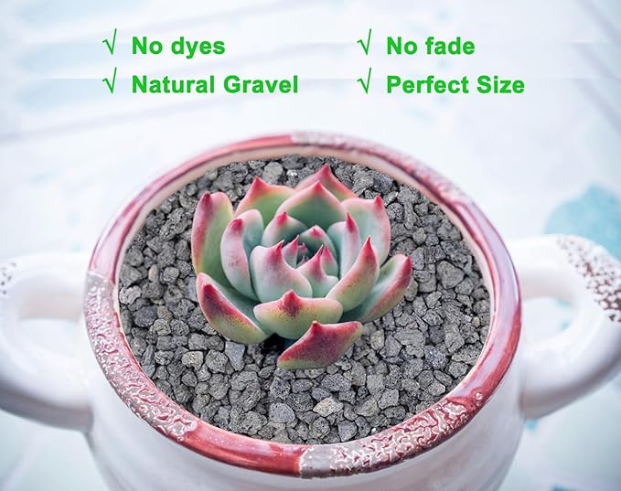 5lb Black Horticultural Lava Rock Soil Additive for Cacti, Vase Fillers, Succulents and Terrarium Plants - No Dyes or Chemicals - 100% Pure Volcanic Rock